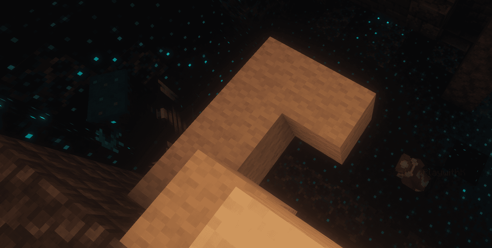 PlaywithK und der Warden